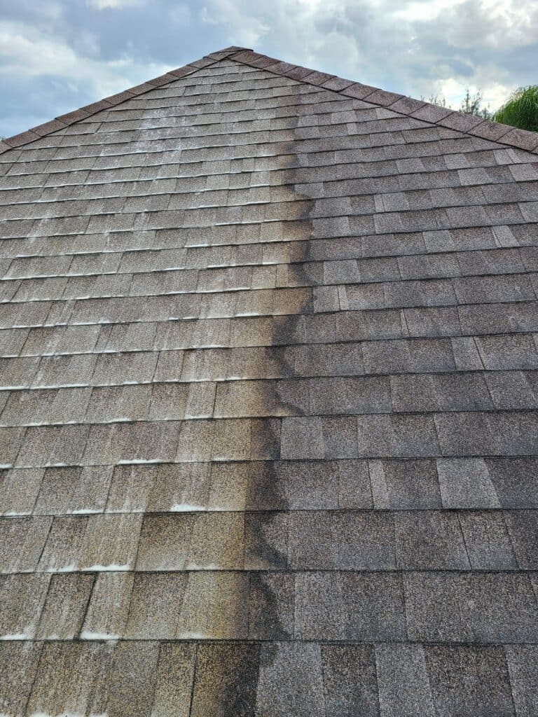 Roof Washing Services in Smithtown, NY